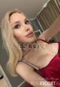 STELLA_GFE