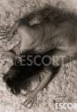 Lunaire Tantra