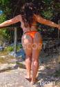 Estela8