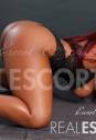 Camillia black